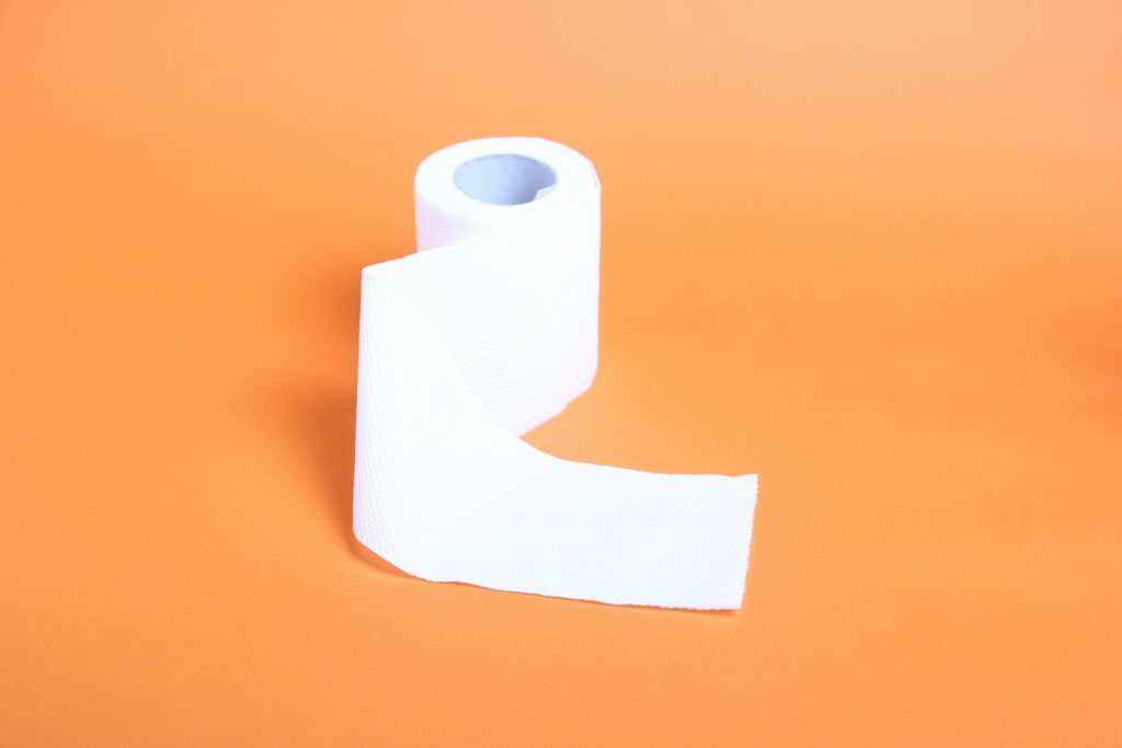 potty para camper