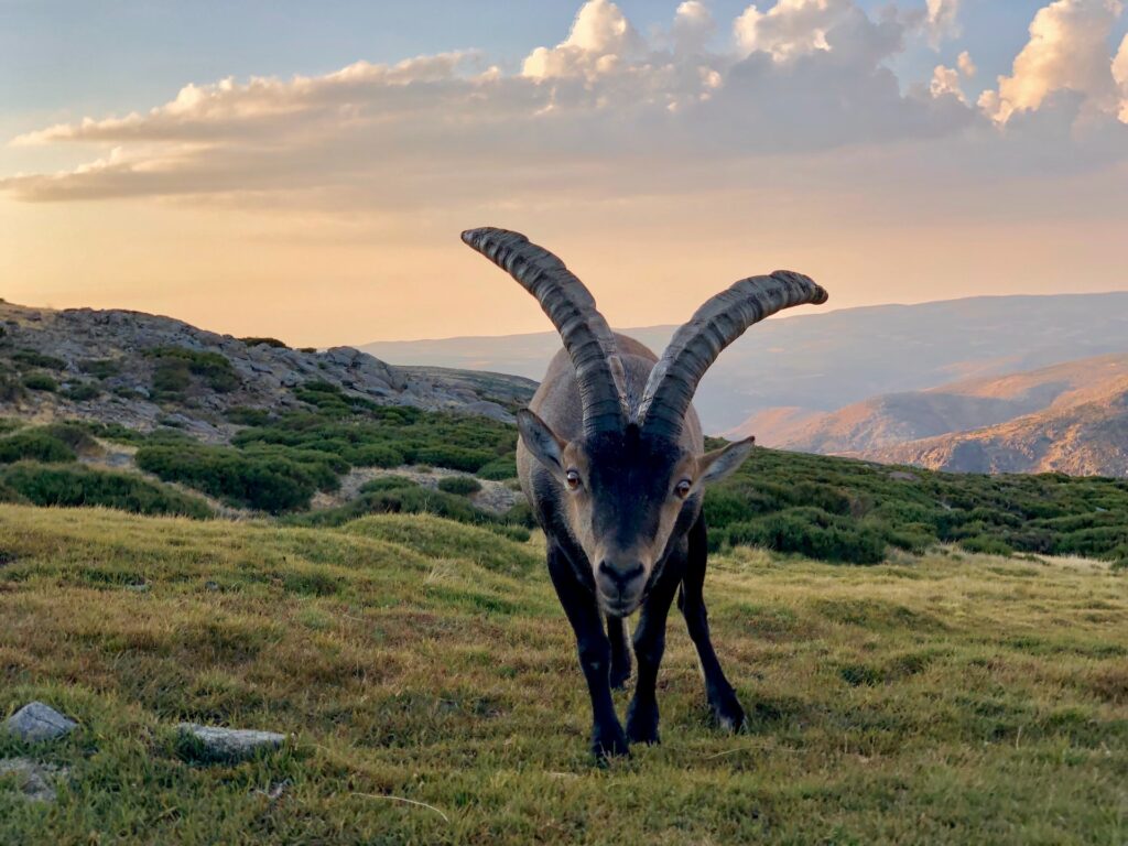 Sierra de Gredos en autocaravana
